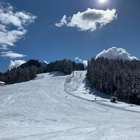 Szálloda Usignolo Auronzo di Cadore
